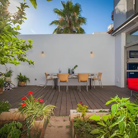 Palmera Villa Palma de Maiorca